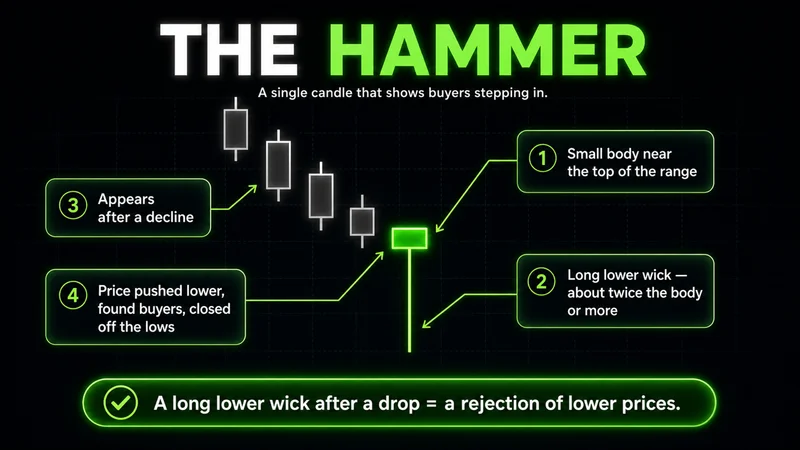 Diagram titled "The Hammer" showing a hammer candle at the bottom of a decline — a small body near the top of the range with a long lower wick about twice the body or more; price pushed lower, found buyers and closed off the lows, a rejection of lower prices.