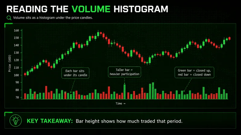 Annotated candlestick chart with a green and red volume histogram below, labeling bar height and color for reading volume.