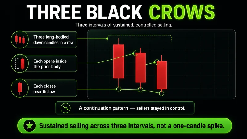 Chart titled "Three Black Crows" showing three consecutive long-bodied red down candles stepping lower, each opening inside the prior body and closing near its low; a continuation pattern describing sustained selling across three intervals, not a one-candle spike.