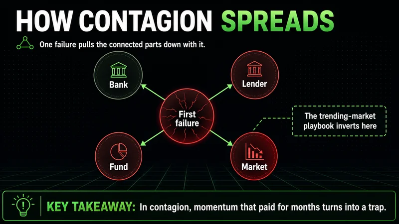 Neon contagion network showing one failure spreading through banks, lenders, funds and the market