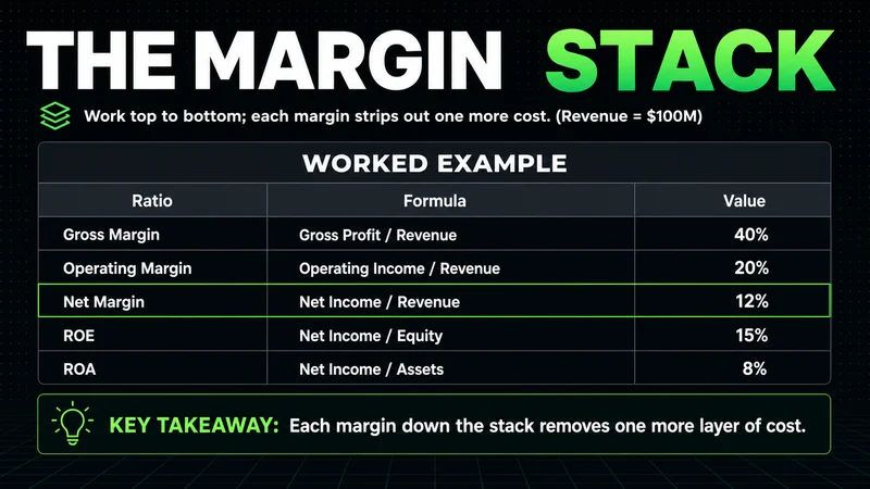 Neon worked table of gross, operating and net margins plus ROE and ROA profitability ratios